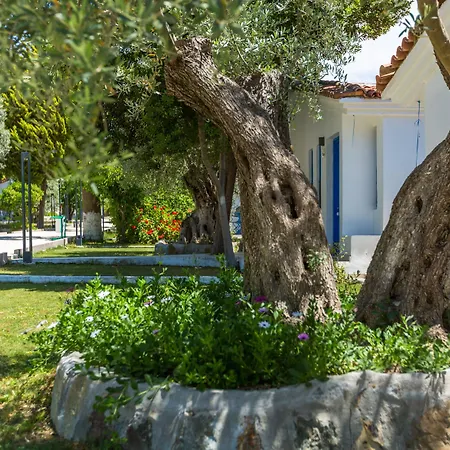 Hotel Risus Garden Marina 3*