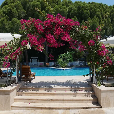 Risus Garden Marina فندق 3*