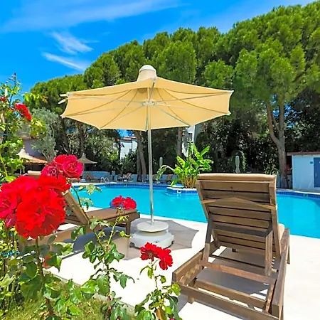 Risus Garden Marina Отель Кушадасы