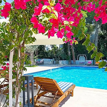 Risus Garden Marina Отель 3*